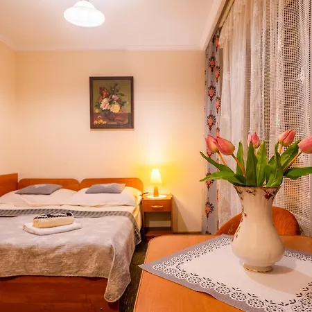 民宿 U Zofii 扎科帕内